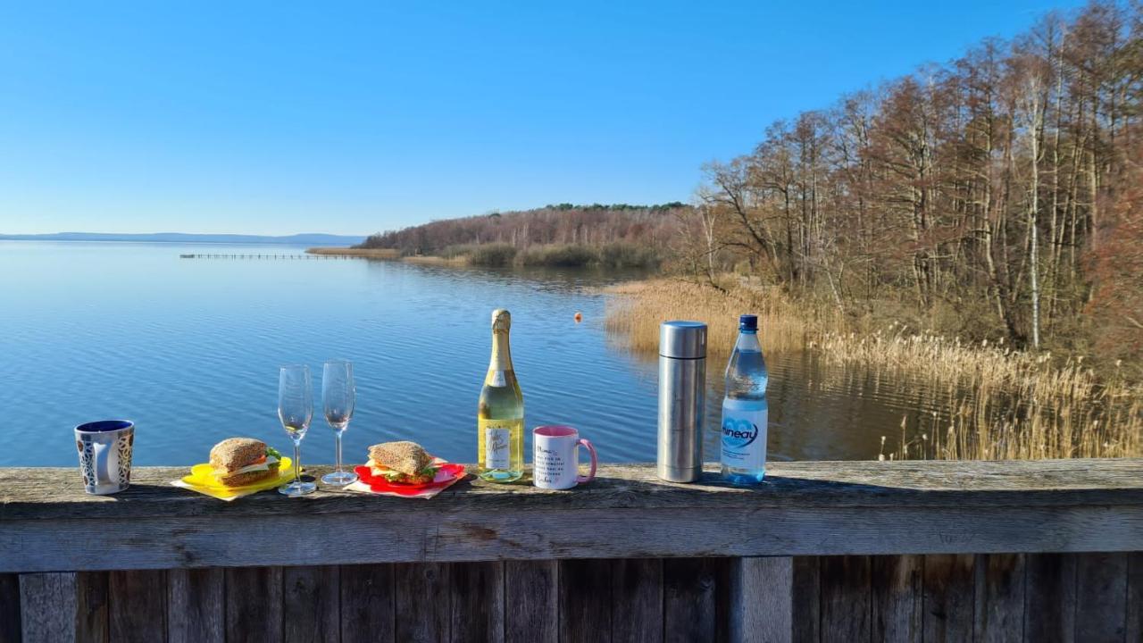Apartment Am Steinhuder Superior Dz-azur- Mit Kl Pantry Kueche, Garten, Wlan Steinhude